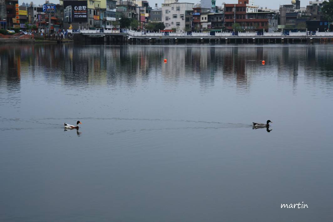 http://i.dcview.tw/gallery/201303/d53b484be979fc9dcc99f00c5fd69541.jpg
