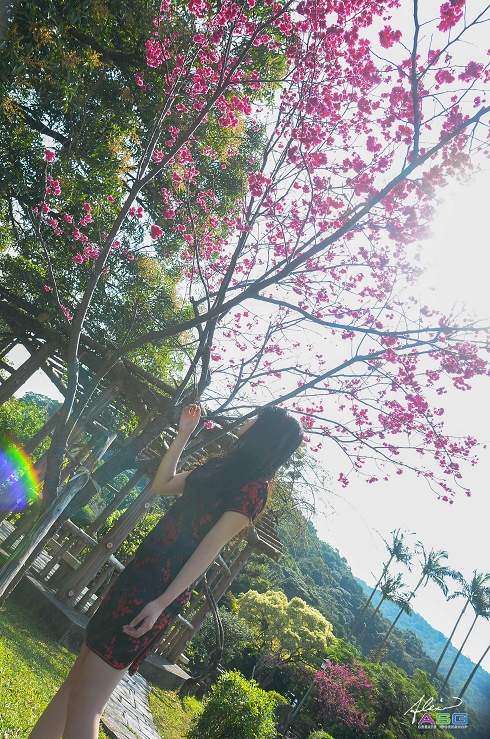 http://i.dcview.tw/gallery/201303/da8f62d4cad1dd2a4bf7fda8652bcf75.jpg