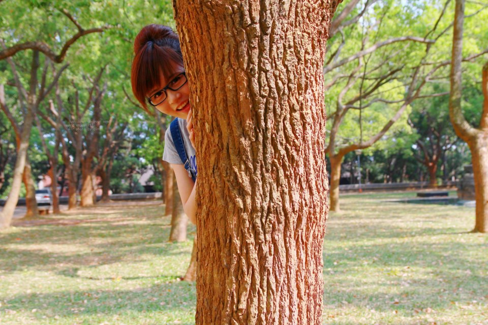 http://i.dcview.tw/gallery/201303/dd9104846c57d04bc6cf33a18fc5ea34.jpg