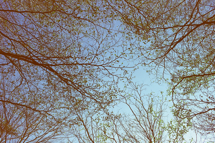http://i.dcview.tw/gallery/201303/e627b32dd884b8eba6a44539974c04d3.jpg