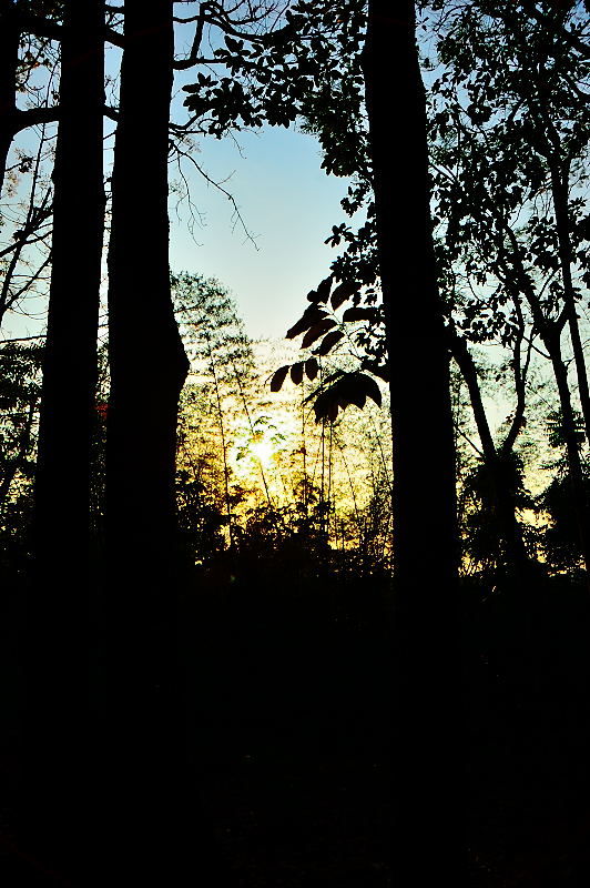 http://i.dcview.tw/gallery/201303/eb32f2ea6c34e74ab51e0fe87aad7e32.jpg
