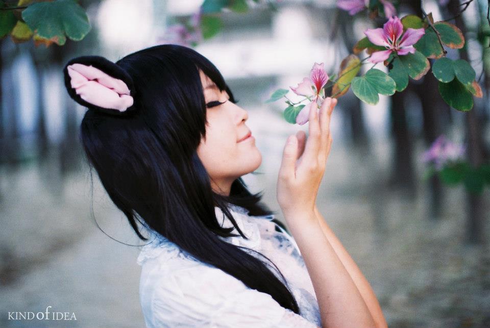 http://i.dcview.tw/gallery/201303/ed350cbda9f1b6d2ce7077b930243c44.jpg