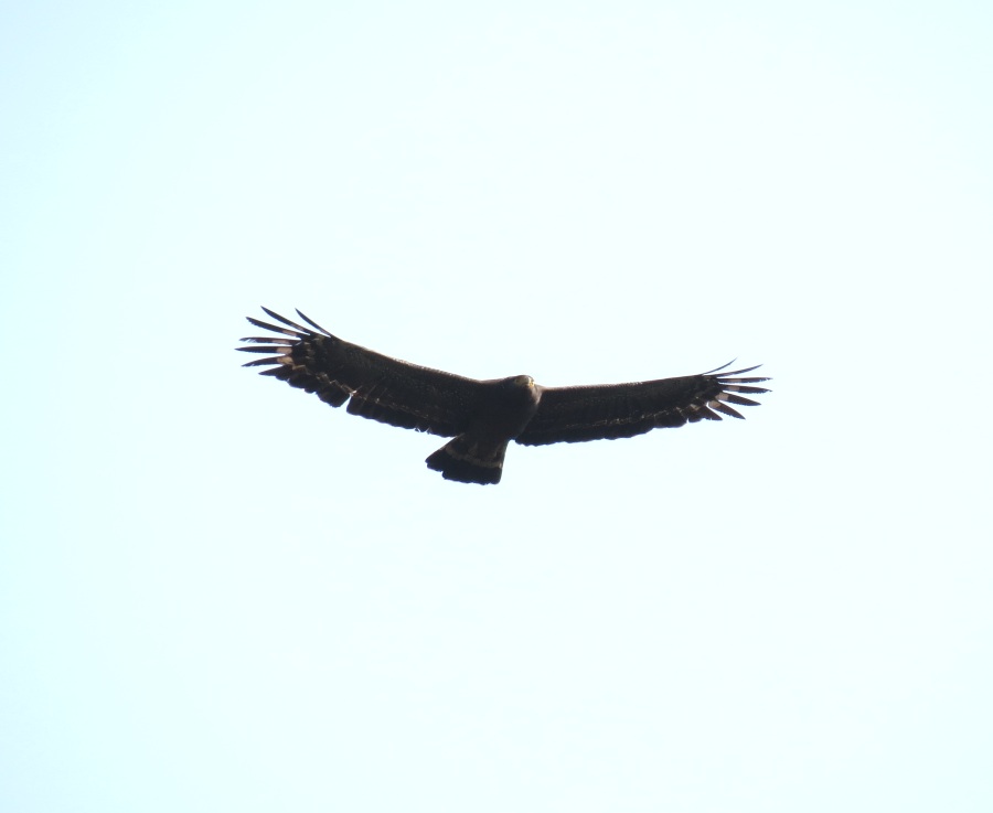 http://i.dcview.tw/gallery/201303/f07a31a5fa978295356e28269a99d833.jpg