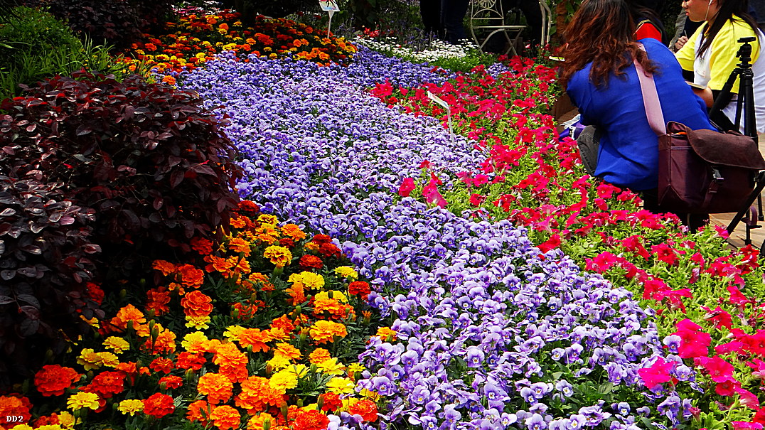 http://i.dcview.tw/gallery/201303/fd13d0b5d4def4435b1dd743cdeb076e.jpg