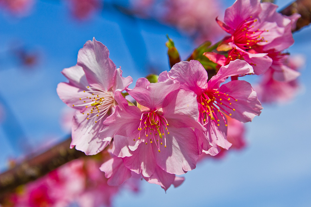 http://i.dcview.tw/gallery/201304/05677f2d7cec6f4a7dee545460deccba.jpg