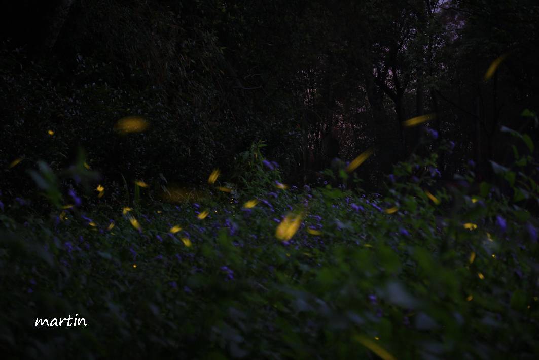 http://i.dcview.tw/gallery/201304/17243284dc73789ba932e9bee2c31635.jpg