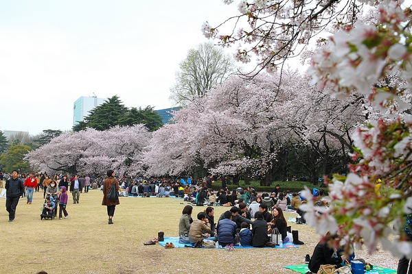 http://i.dcview.tw/gallery/201304/2aa7b1d6189793a1f7bc1ed747f5819f.jpg