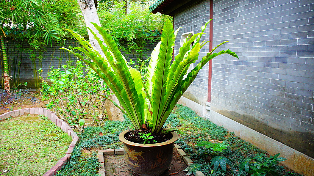 http://i.dcview.tw/gallery/201304/311c1fd2498ac4d30088cd92779ea0ad.jpg