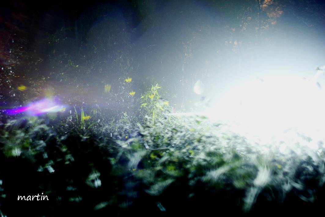 http://i.dcview.tw/gallery/201304/35a5e9e28e933f2ffea8f2db0046feca.jpg