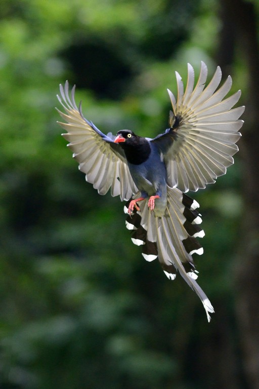 http://i.dcview.tw/gallery/201304/36874036f79e8604b523e2b6c973a7be.jpg