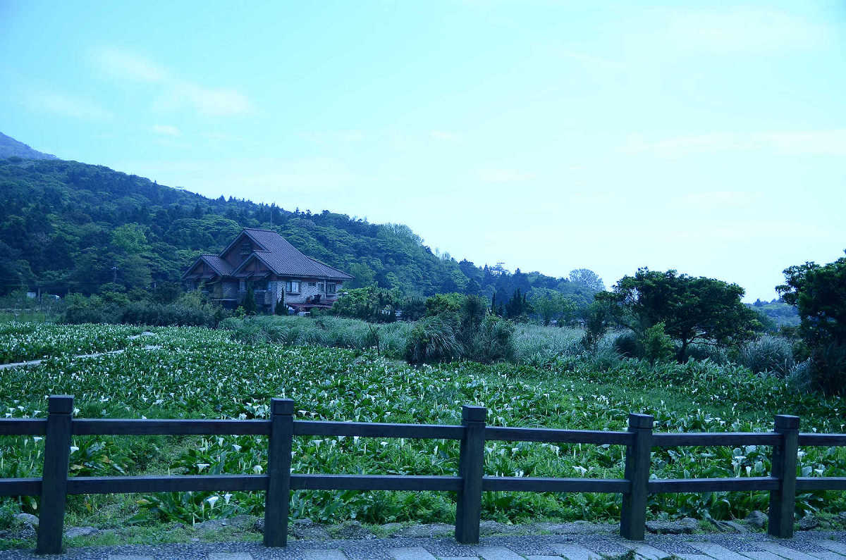 http://i.dcview.tw/gallery/201304/3a36d28c795893aa721c5619e946852c.jpg