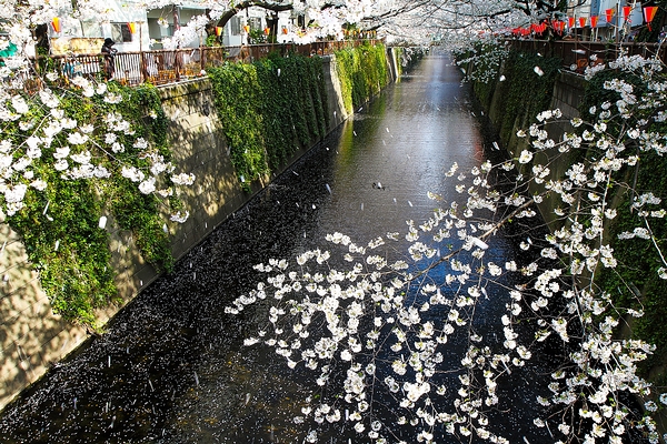 http://i.dcview.tw/gallery/201304/3ddada6d122e8a8b3f6093342cc3eb50.jpg