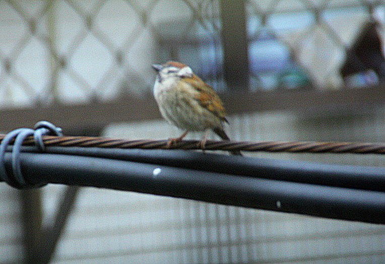 http://i.dcview.tw/gallery/201304/3edd453e36ef69aa4ea237612731ed75.jpg