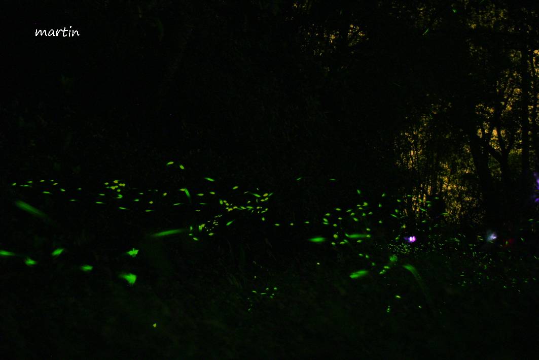 http://i.dcview.tw/gallery/201304/49106966cce94730687858938d8256d8.jpg