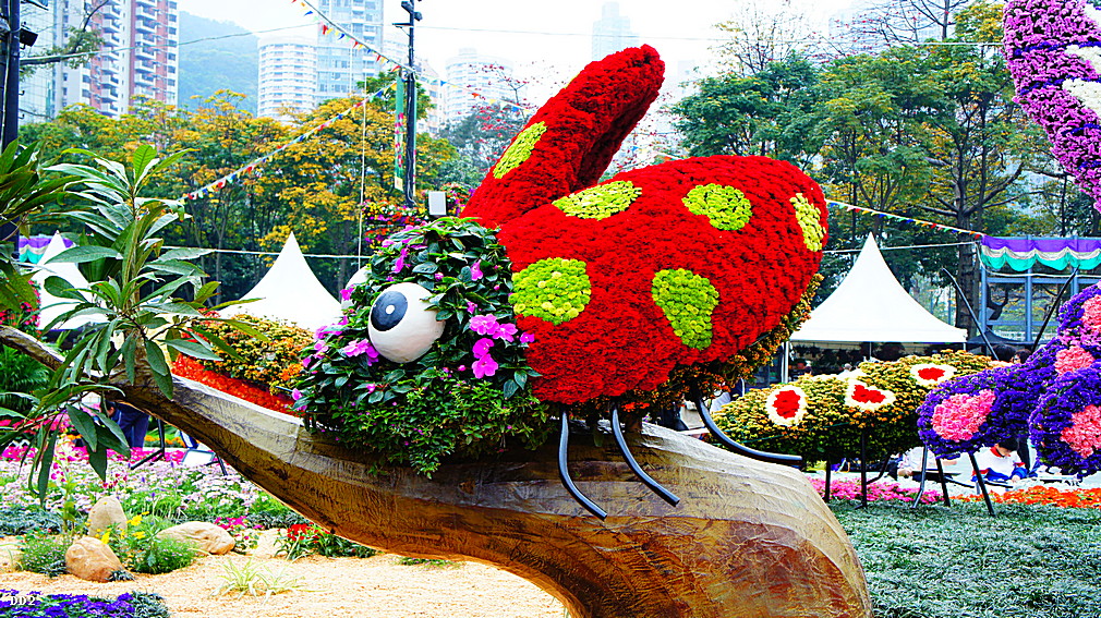 http://i.dcview.tw/gallery/201304/4938be77af2bbd5342a79835dc42cd78.jpg