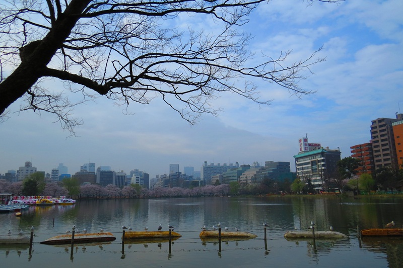 http://i.dcview.tw/gallery/201304/4cd9d2d31d9959df28096ba693fb8556.jpg