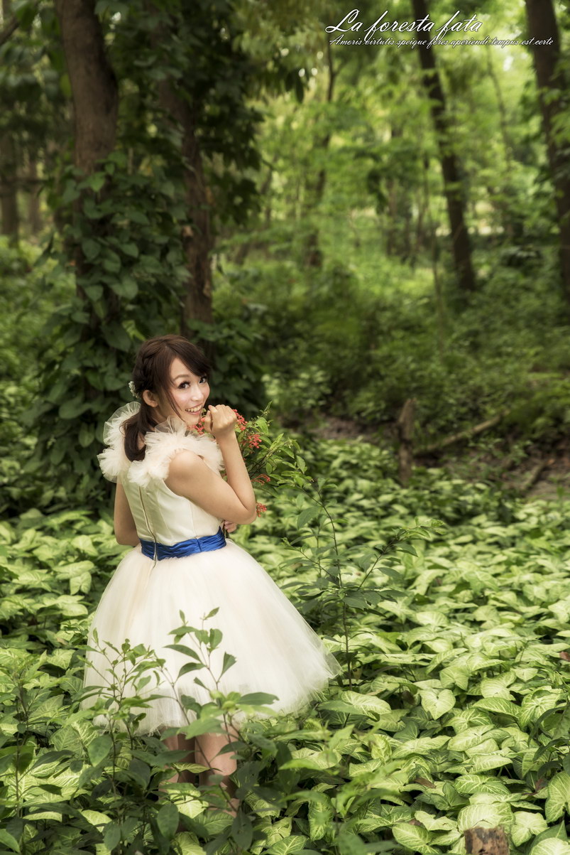 http://i.dcview.tw/gallery/201304/517a0f32ef333ec124db611d60006e73.jpg