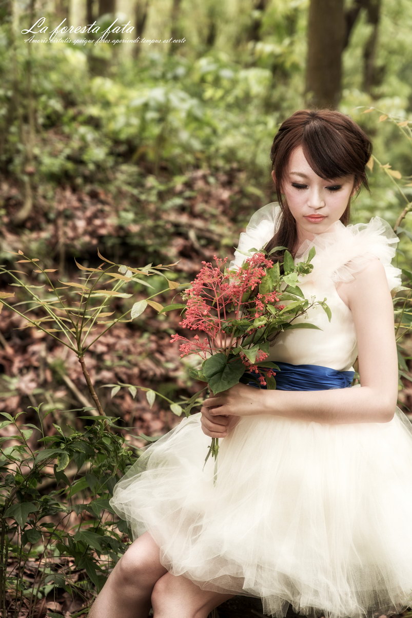 http://i.dcview.tw/gallery/201304/524225a4a935b6939544a125ff15d70a.jpg