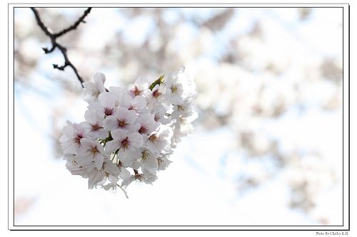 http://i.dcview.tw/gallery/201304/584bdbe8d4b1b7a7bbaf9d69ae67d60c.jpg