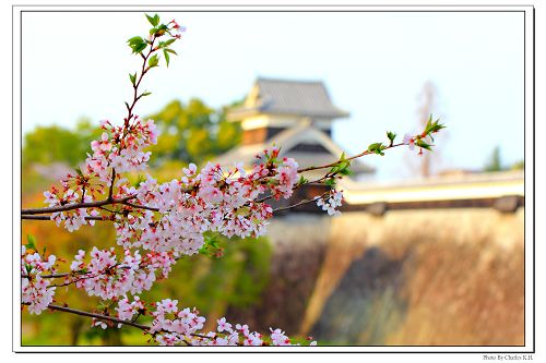 http://i.dcview.tw/gallery/201304/677dd269cb33777a1175f792e0f573b7.jpg