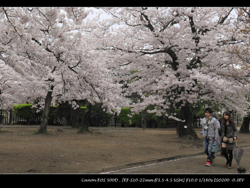 http://i.dcview.tw/gallery/201304/6d83bc77c49e523d49340c2c213a3be1.jpg