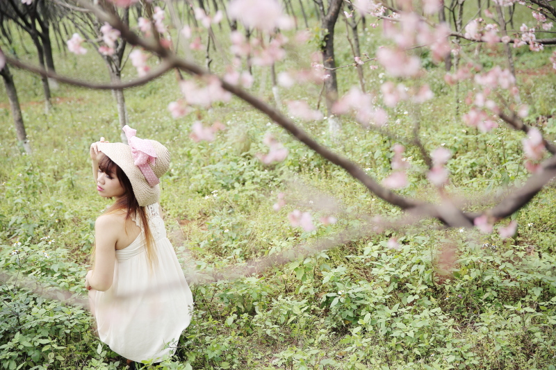 http://i.dcview.tw/gallery/201304/6dfa2fdbb923483715d5b544ea3a5bcf.jpg