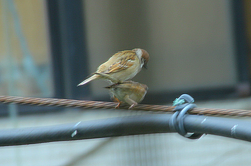 http://i.dcview.tw/gallery/201304/6f6a6ae7aec782dec2317157319bdc7c.jpg