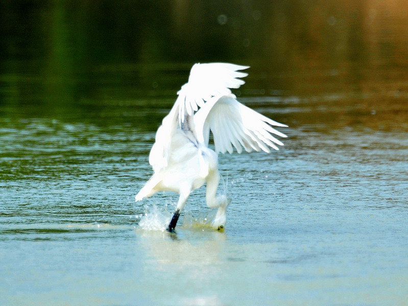 http://i.dcview.tw/gallery/201304/7395fc388d0598e1be0c4916d48cca47.jpg