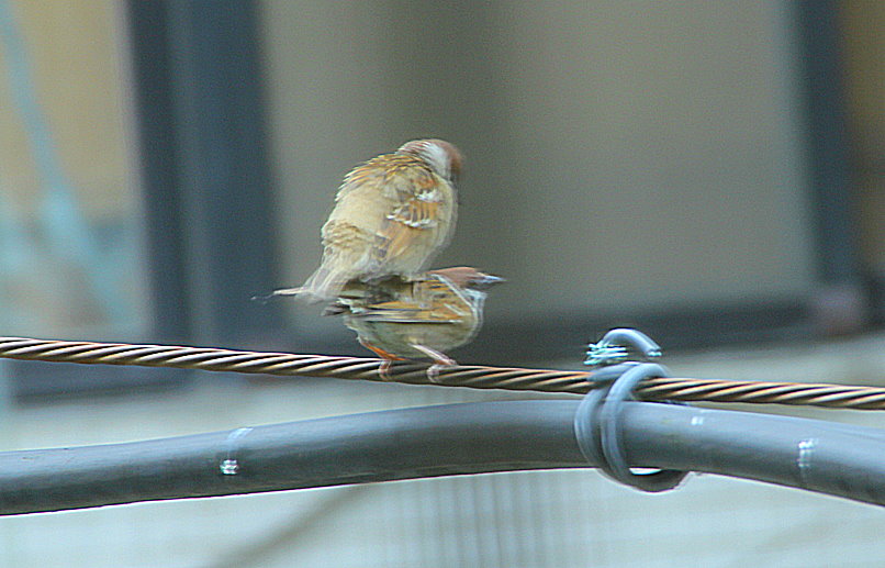 http://i.dcview.tw/gallery/201304/7610066de4bb1a7c2f091d57748102c3.jpg