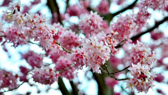 http://i.dcview.tw/gallery/201304/91aaa3d1e906c8c7e0262217d303906b.jpg