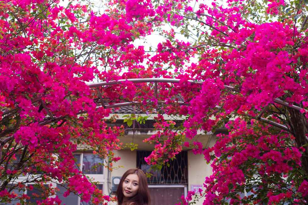 http://i.dcview.tw/gallery/201304/92ebd166703003c7ba308b12b0840b66.jpg