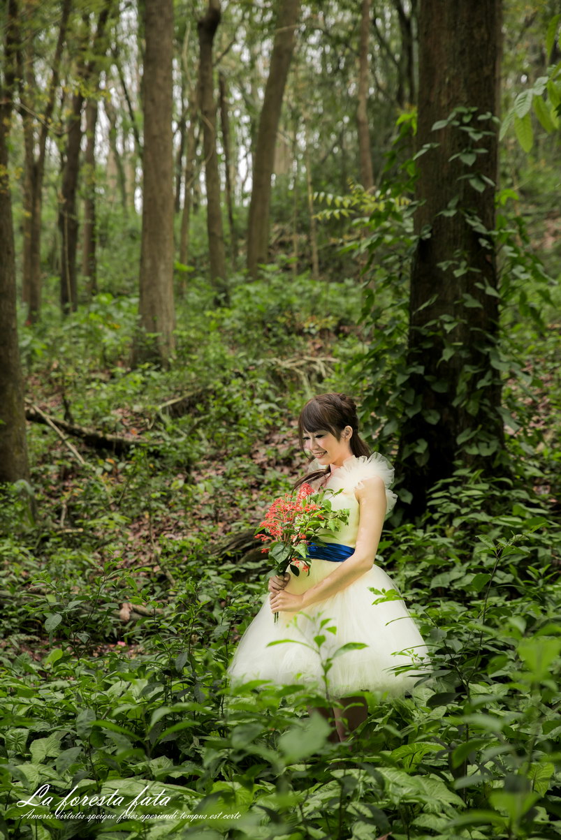 http://i.dcview.tw/gallery/201304/9b7a7f2425fe39a8ada474366a1b85aa.jpg