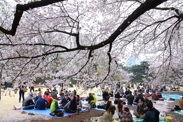 http://i.dcview.tw/gallery/201304/9e043bda19c39a2d28d4ebd65013ef8e.jpg