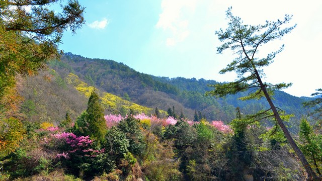 http://i.dcview.tw/gallery/201304/a0b37a0bab535711e2c13c848e263097.jpg