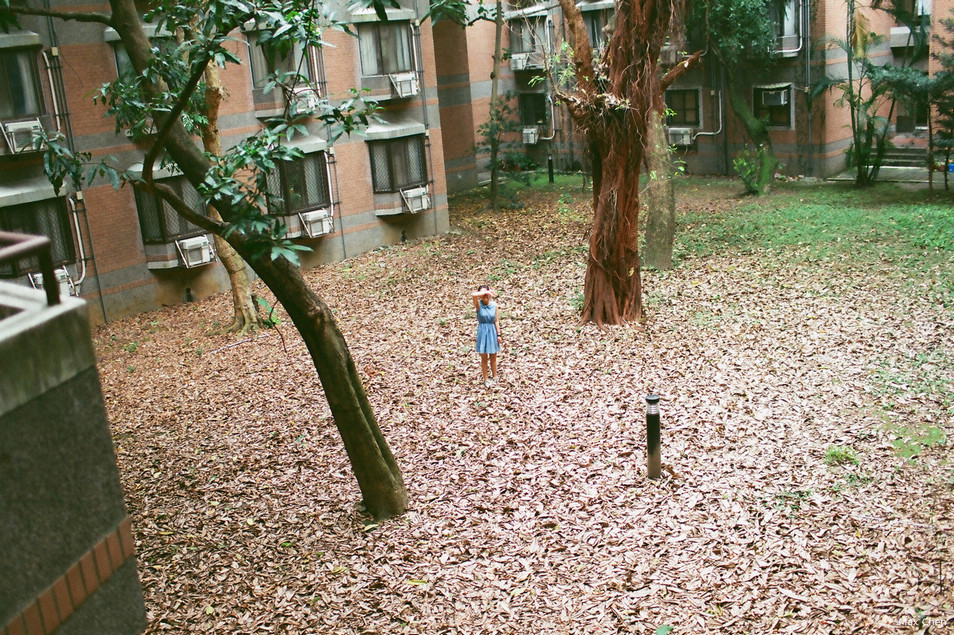 http://i.dcview.tw/gallery/201304/a4662cca70e2da6a45b9784526ccdc36.jpg