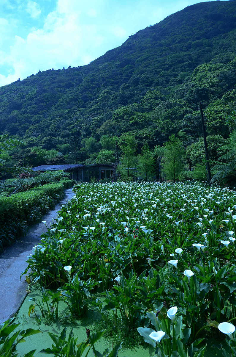 http://i.dcview.tw/gallery/201304/a56714fb45f604b81e26629e1e0fa899.jpg