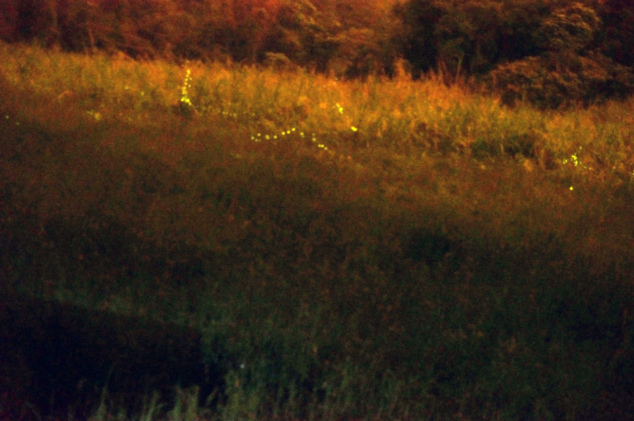 http://i.dcview.tw/gallery/201304/a601cfdf523e10d1be9d745977371acf.jpg