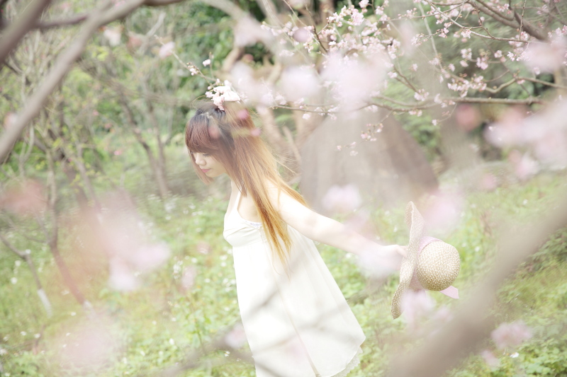 http://i.dcview.tw/gallery/201304/b4d37ee268b2387d4ca97e9d9081bb46.jpg