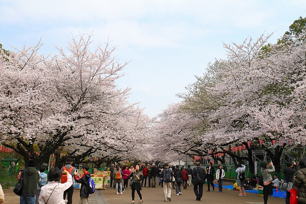http://i.dcview.tw/gallery/201304/bc8afd951e8a76d08e5444eaa2bb1d39.jpg