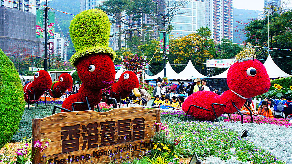 http://i.dcview.tw/gallery/201304/c663bd3adbec198b3d61950de2f45692.jpg