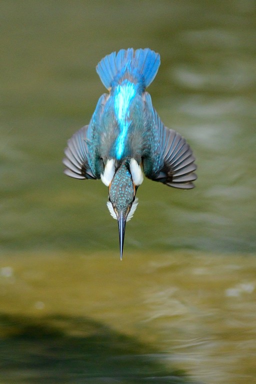 http://i.dcview.tw/gallery/201304/cd53583697d30bcc1db21e77a48416b9.jpg