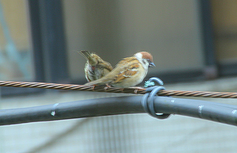 http://i.dcview.tw/gallery/201304/cfb71df49b1ad5306dc868f978435db6.jpg