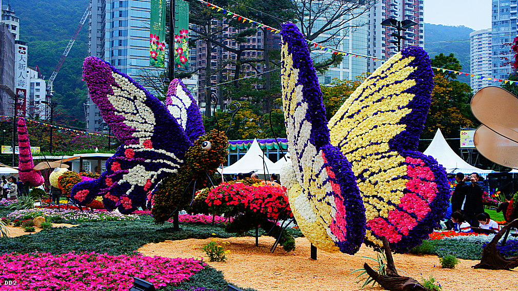 http://i.dcview.tw/gallery/201304/d408da1c87bdd76b05b176ecfa83d569.jpg