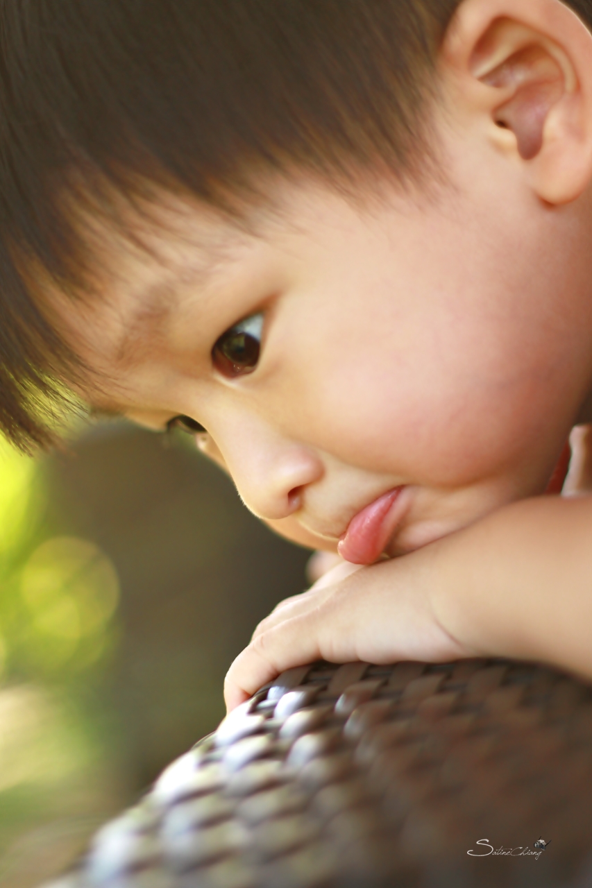 http://i.dcview.tw/gallery/201304/d69beb4f111f94e5c99806e4e69601e1.jpg