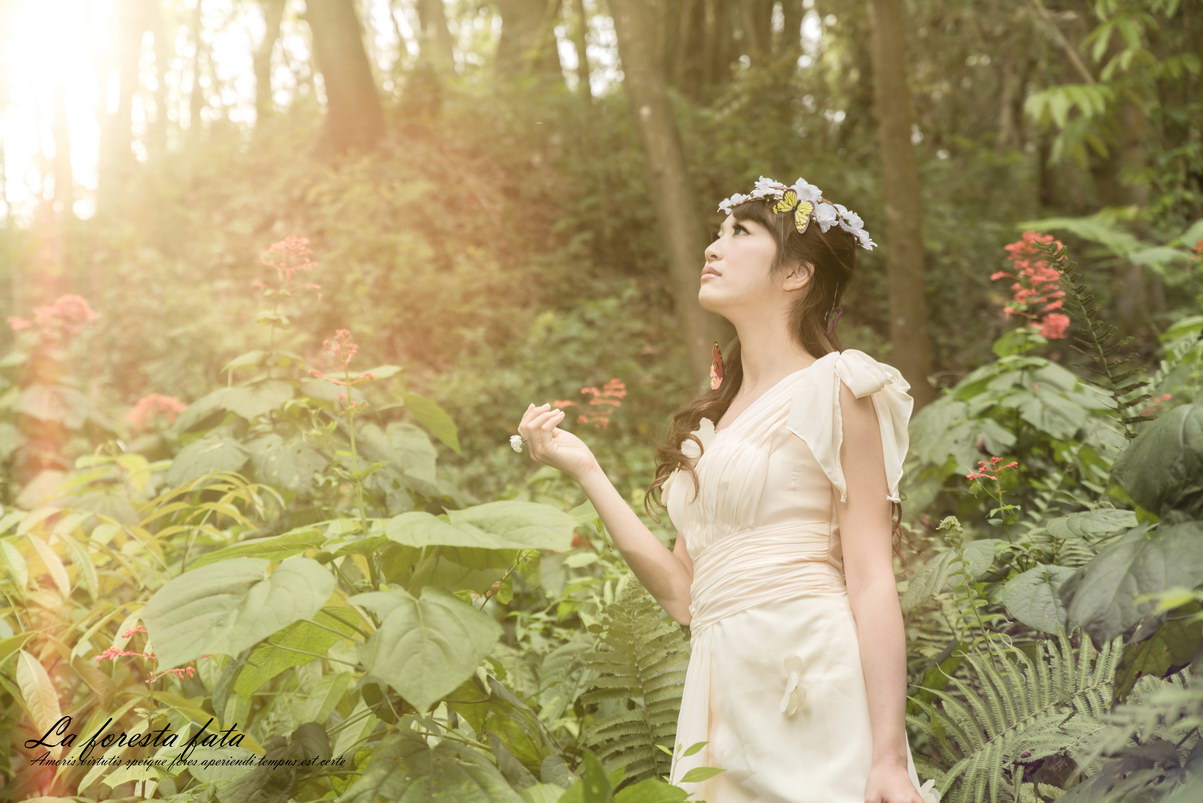 http://i.dcview.tw/gallery/201304/d6c5259f8a57a6ec94185def7b230d7c.jpg