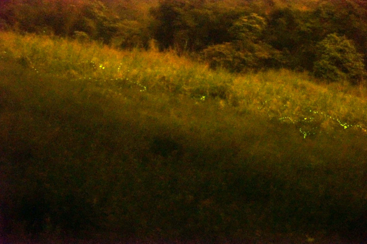 http://i.dcview.tw/gallery/201304/d761e36d5c2030a38f6ae0fc4cf224cc.jpg