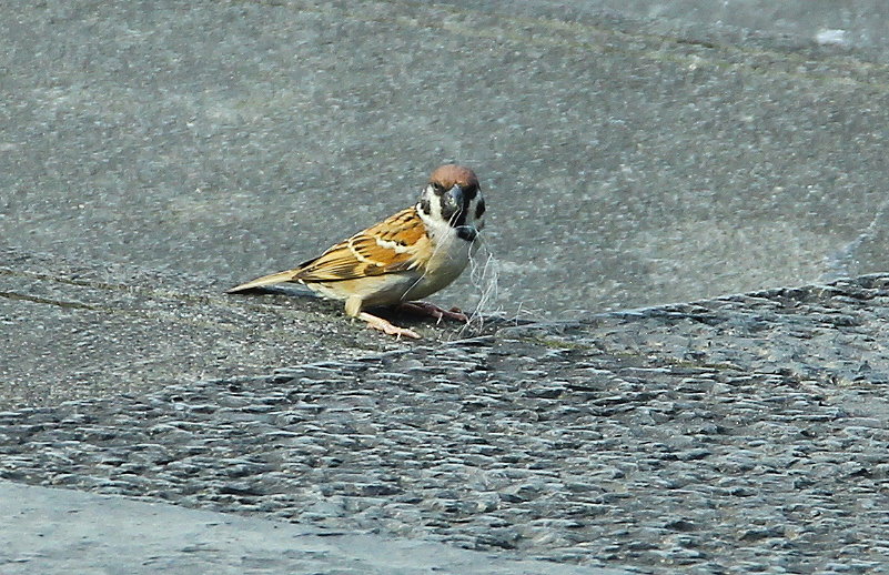 http://i.dcview.tw/gallery/201304/e3a0a04538470d4b6dc1ef0dd0b12551.jpg