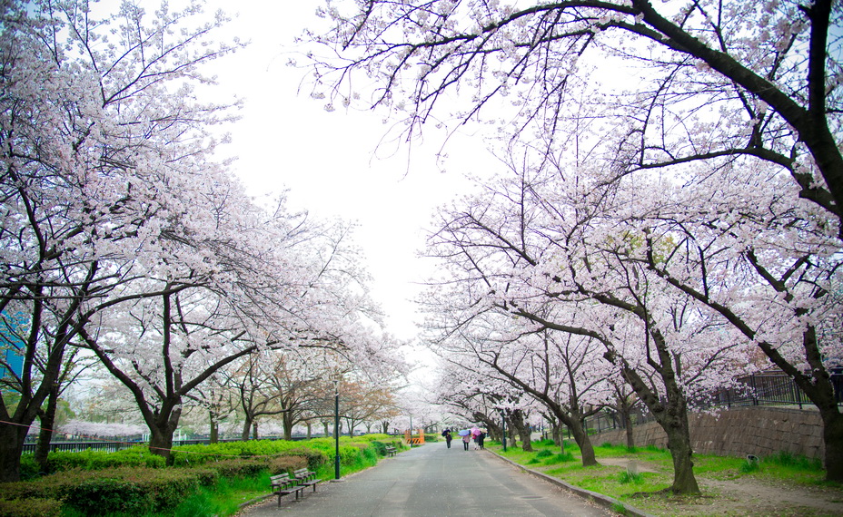 http://i.dcview.tw/gallery/201304/ec3fb88bbde2fee4fea83351f3695327.jpg