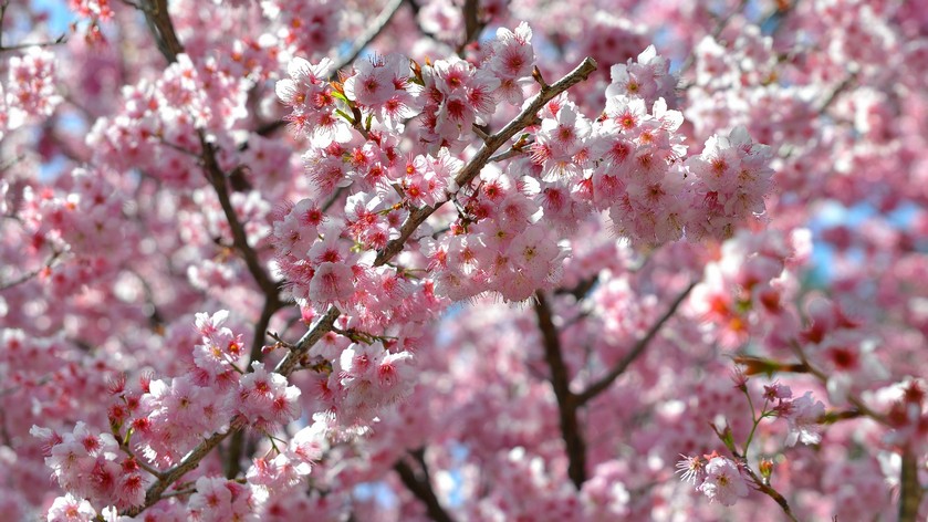 http://i.dcview.tw/gallery/201304/f1d26ce3b390b3638b1286fb52b0d12e.jpg