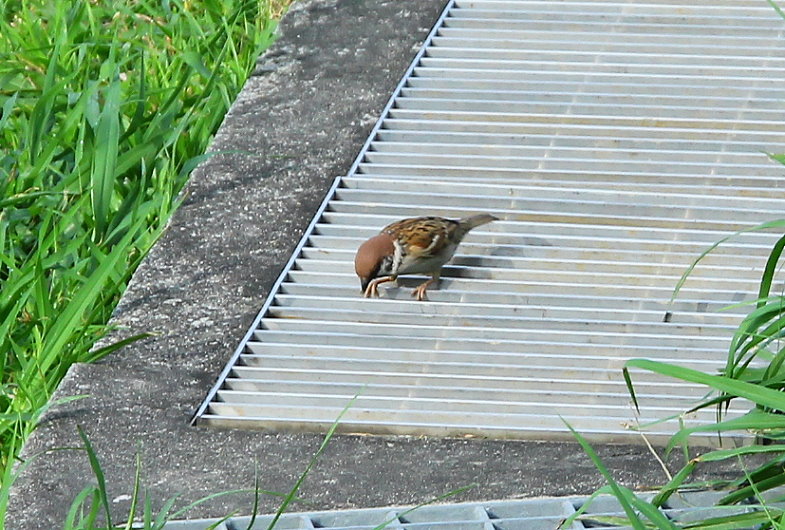 http://i.dcview.tw/gallery/201304/f4e28638e0fa4d45beacfc894089a01a.jpg